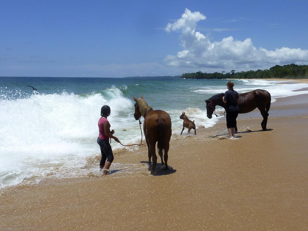 Bluff Beach Retreat Bocas Town Exterior foto