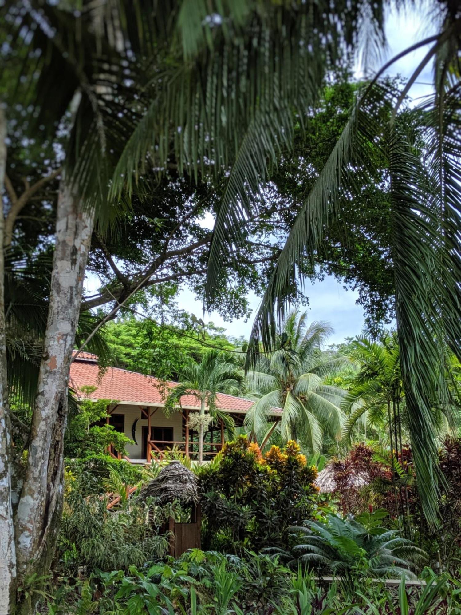 Bluff Beach Retreat Bocas Town Exterior foto
