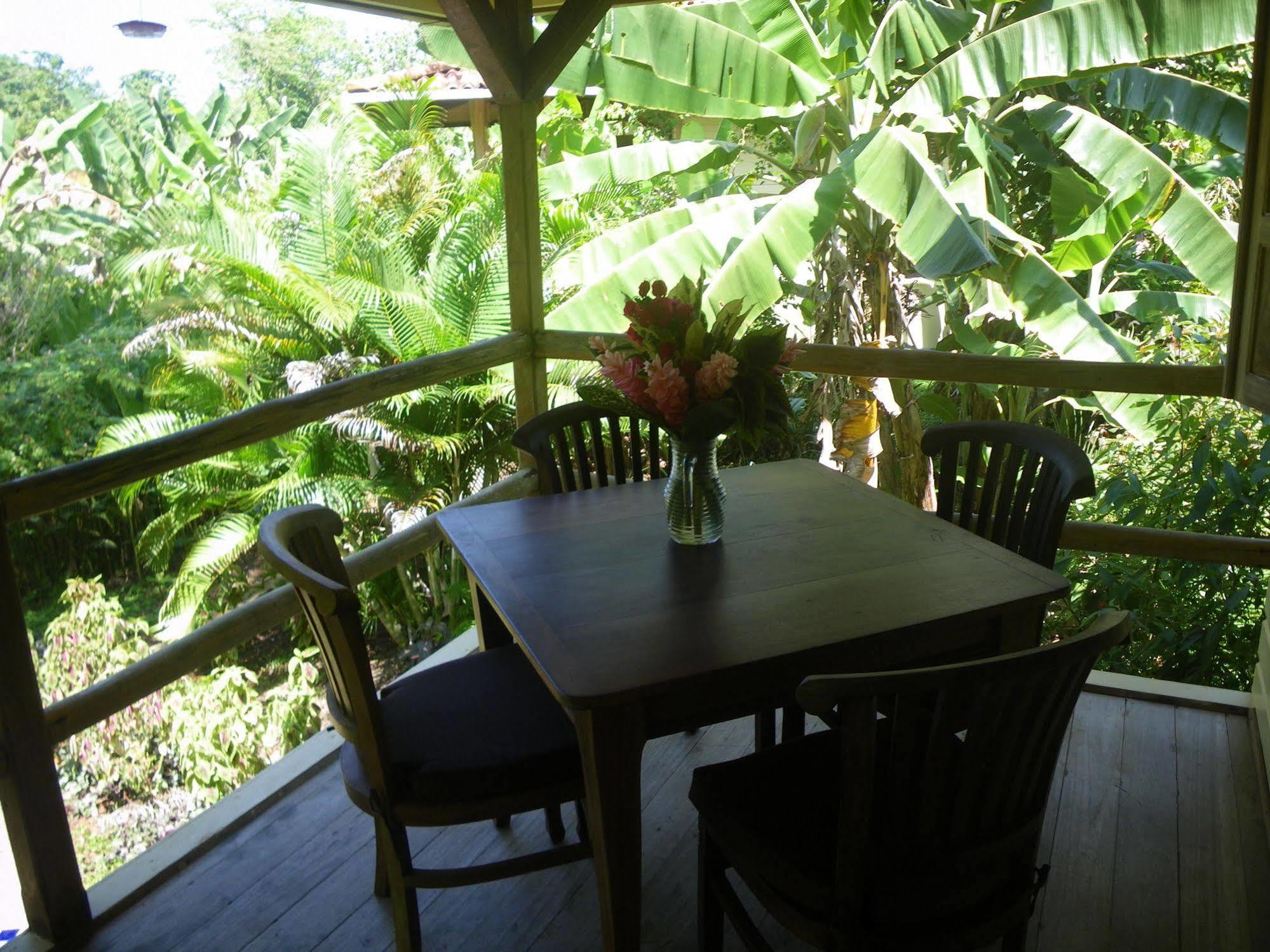 Bluff Beach Retreat Bocas Town Exterior foto