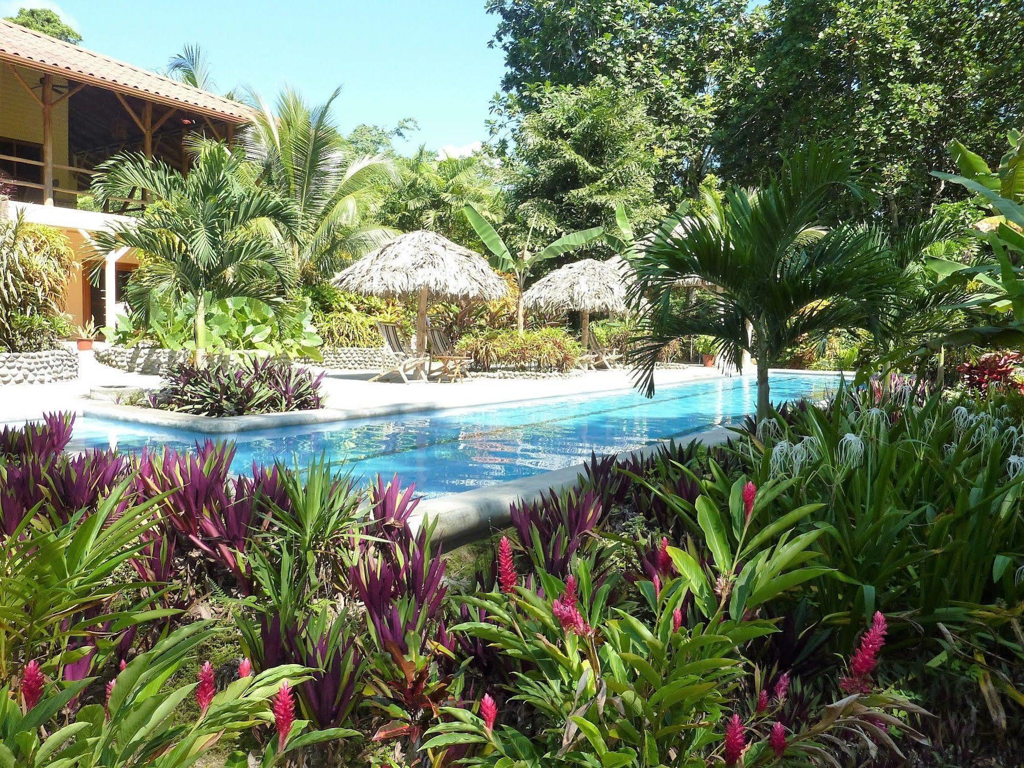 Bluff Beach Retreat Bocas Town Exterior foto